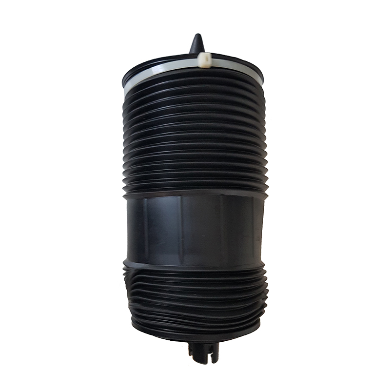 Rear Right Air Suspension Shock