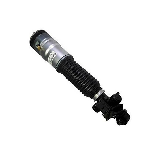 Rear Left Air Suspension Shock